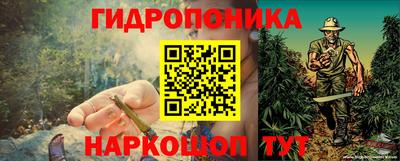 кокс Гусев