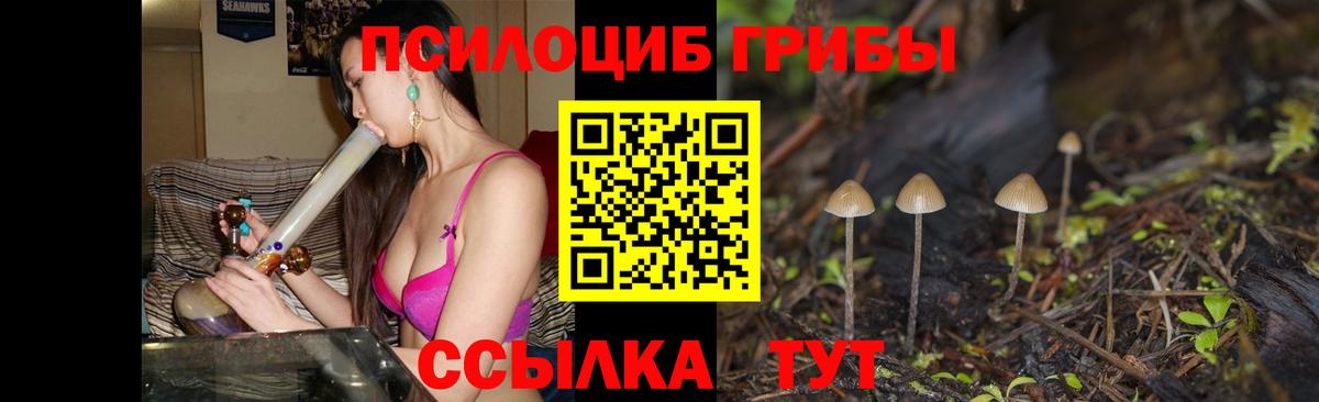 Моздок  Псилоцибиновые грибы Cubensis  Вход с VPN  Галлюциногенные грибы мухоморы 